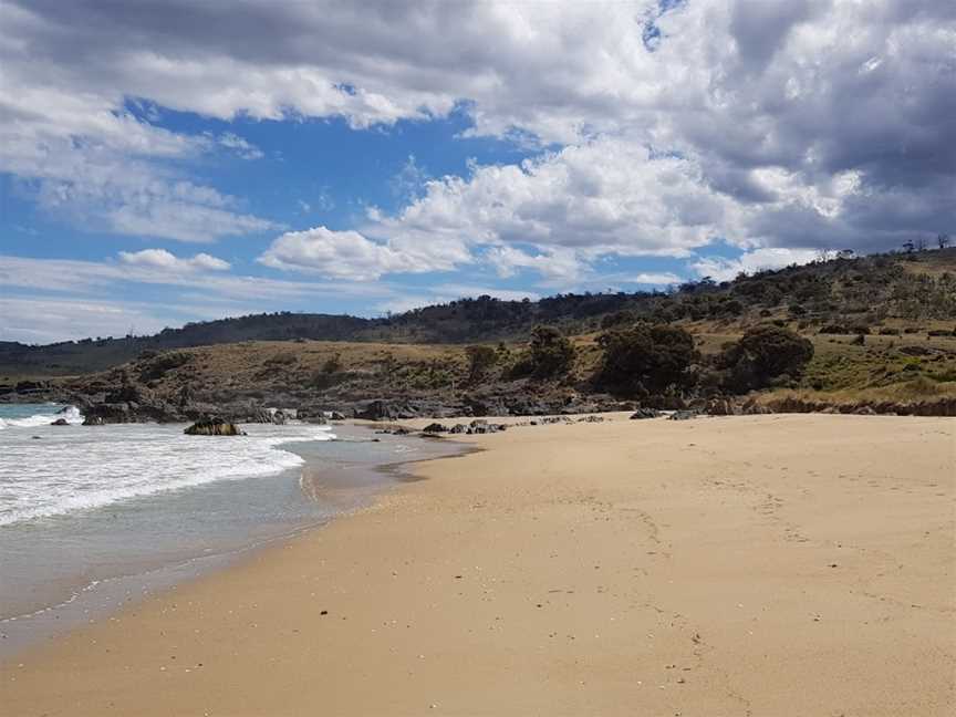 Cressy Beach Conservation Area, Swansea, TAS