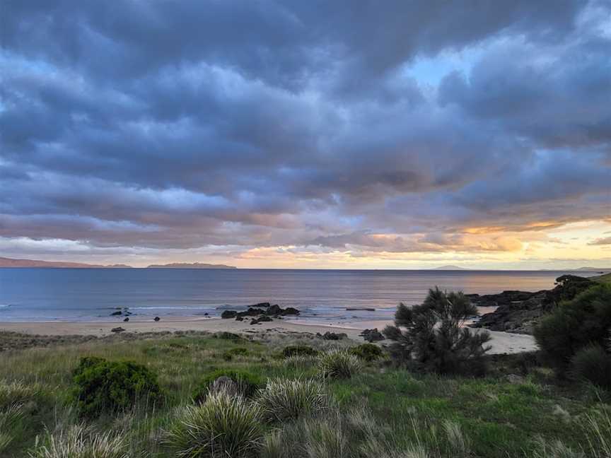 Cressy Beach Conservation Area, Swansea, TAS