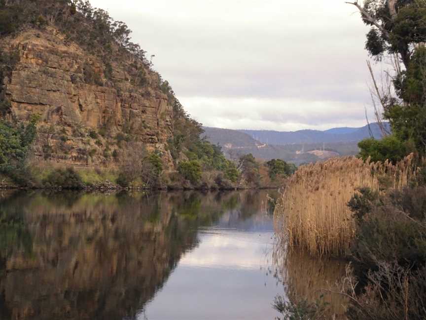 Derwent Cliffs Walk, New Norfolk, TAS