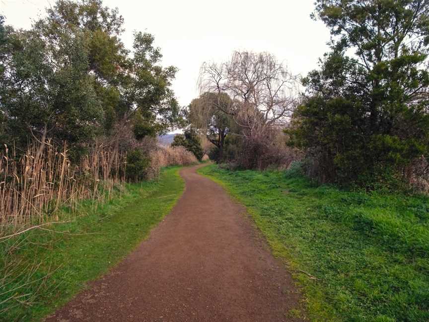 Derwent Cliffs Walk, New Norfolk, TAS