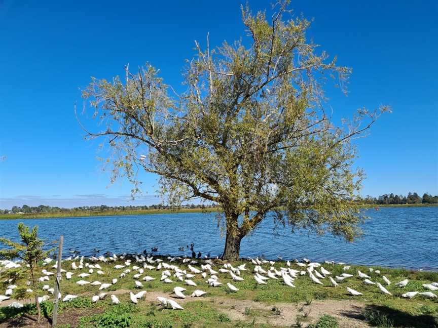 Durham Point, Ballarat, VIC