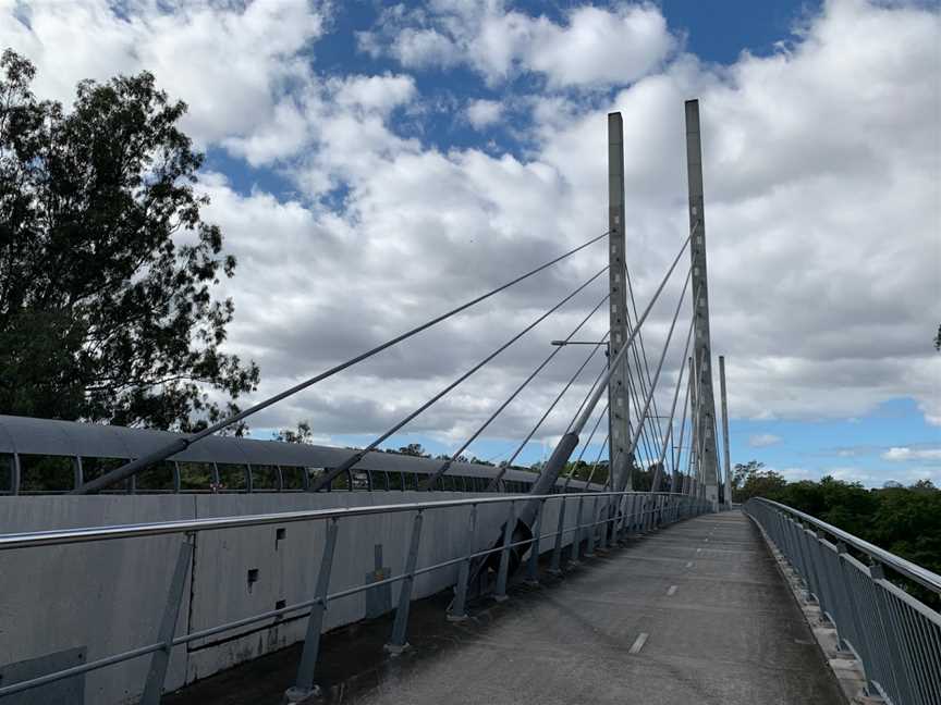 Eleanor Schonell Bridge, Dutton Park, QLD