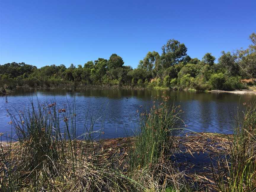 Eric Singleton Bird Sanctuary, Bayswater, WA