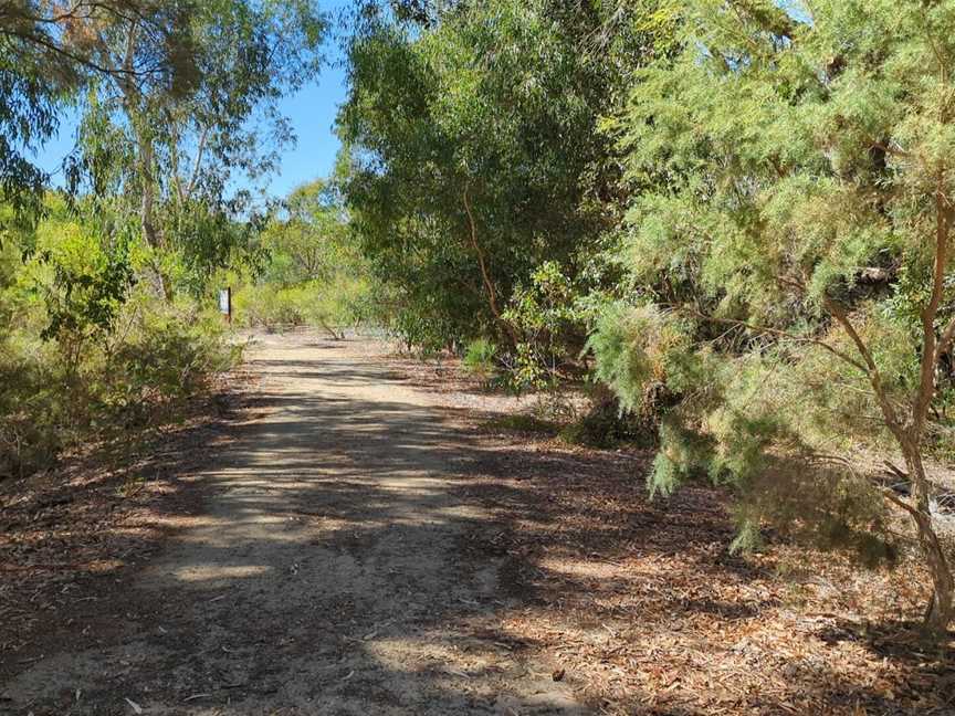 Eric Singleton Bird Sanctuary, Bayswater, WA