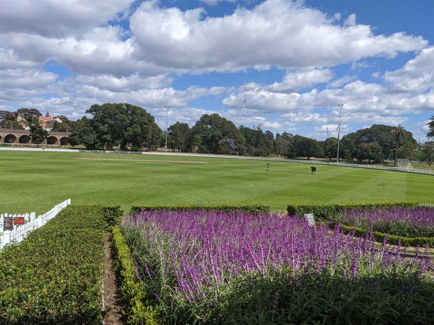 Federal Park, Annandale, NSW