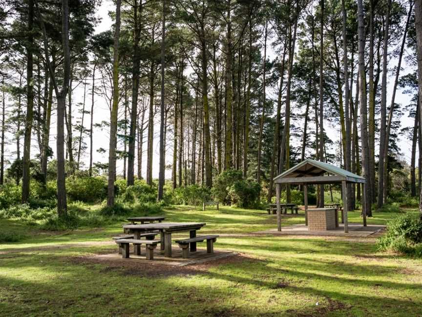 Fingal Picnic Area, Cape Schanck, VIC