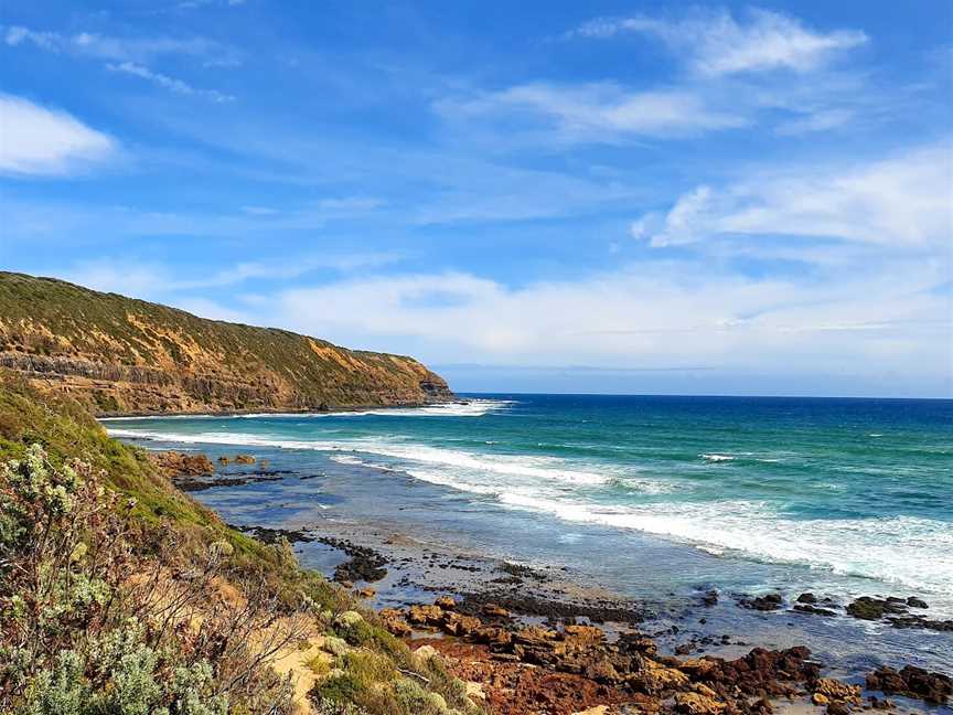 Fingal Picnic Area, Cape Schanck, VIC