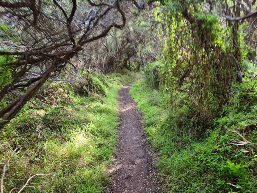 Fingal Picnic Area, Cape Schanck, VIC