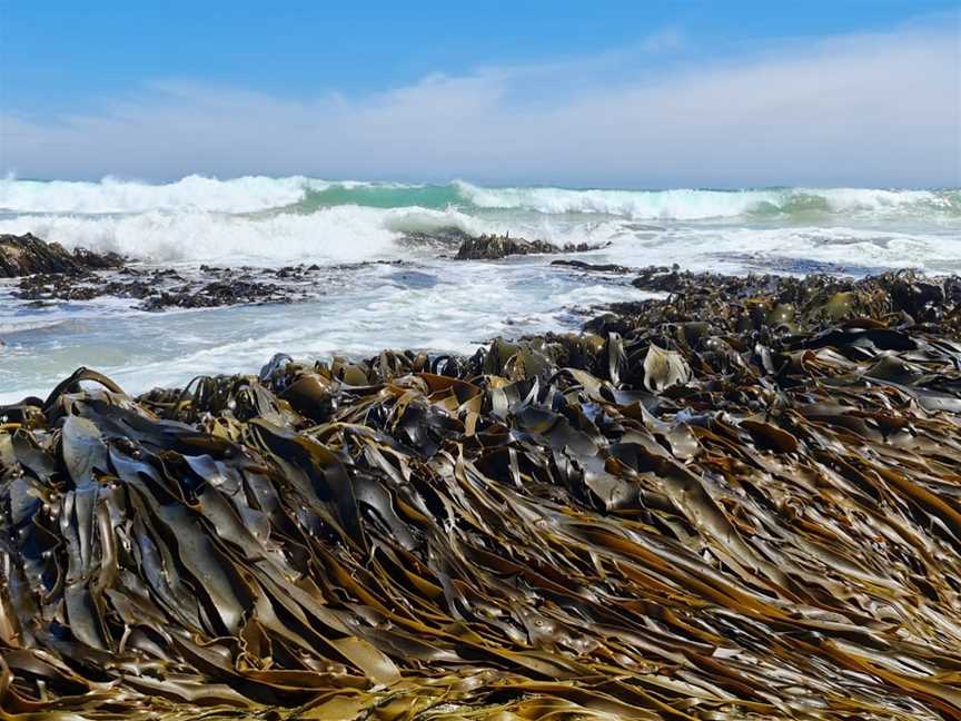 Fowlers Beach, Blairgowrie, VIC