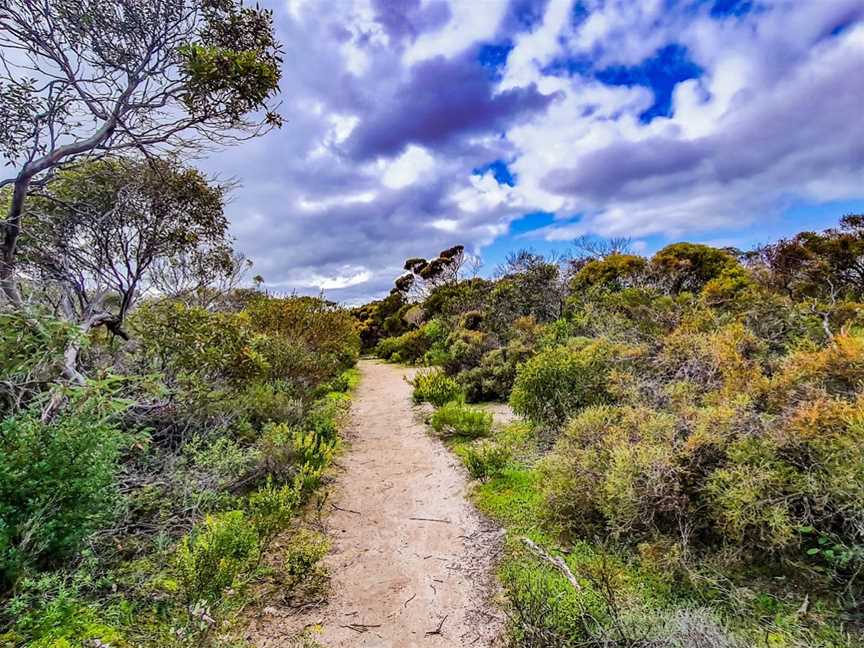 Gym Beach, Marion Bay, SA