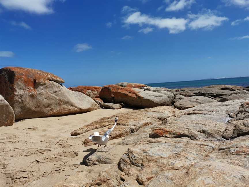 Gym Beach, Marion Bay, SA