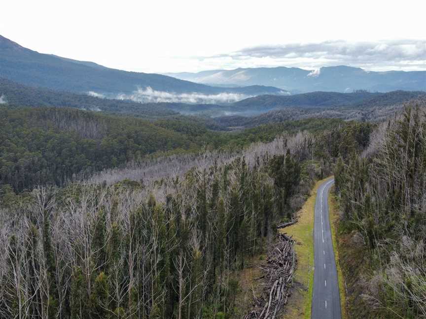 Highest Point On Road, Maydena, TAS