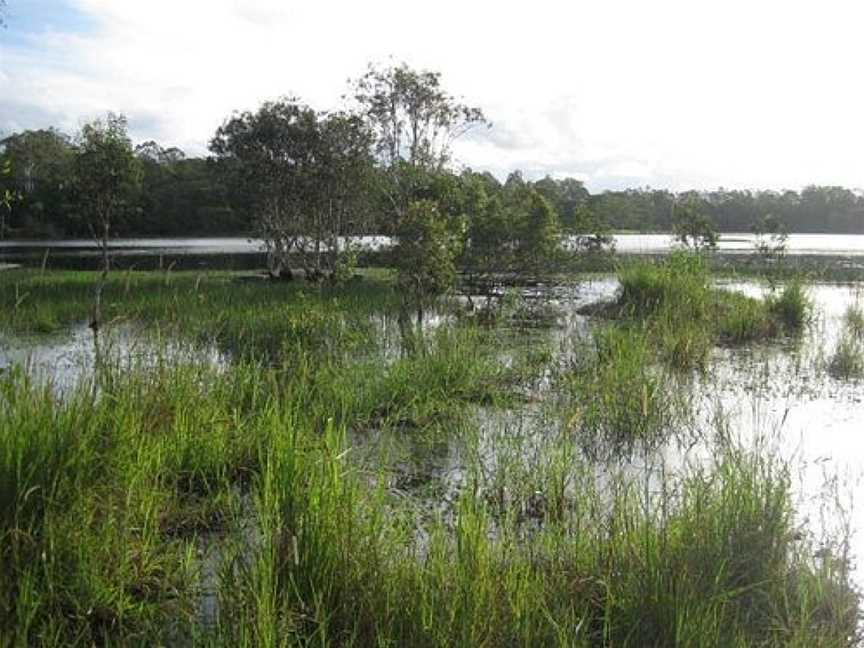 Jabiru Park Bird Sanctuary, Cooroy, QLD