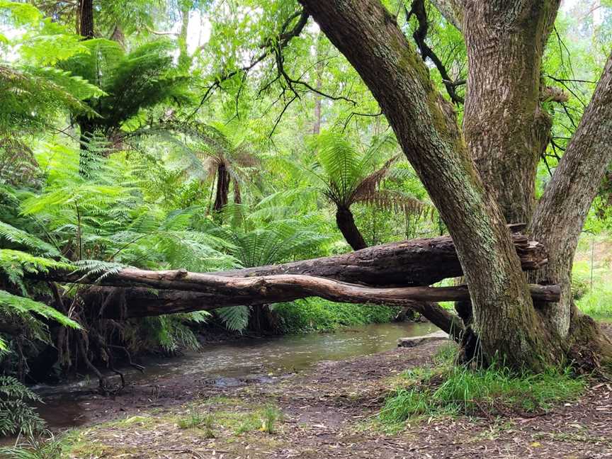 Kays Picnic Ground, Monbulk, VIC