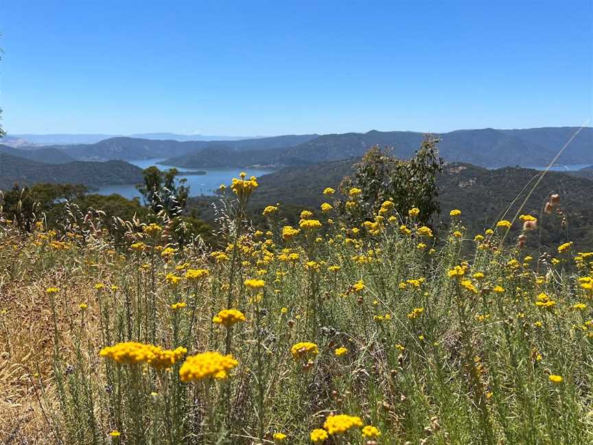 Kennedys Point, Bonnie Doon, VIC