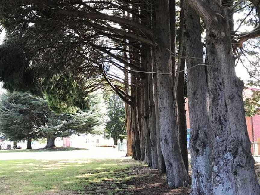 King George V Park, Sheffield, TAS