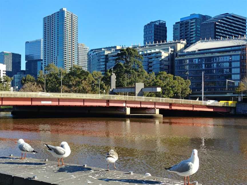 King Street Bridge, Southbank, VIC