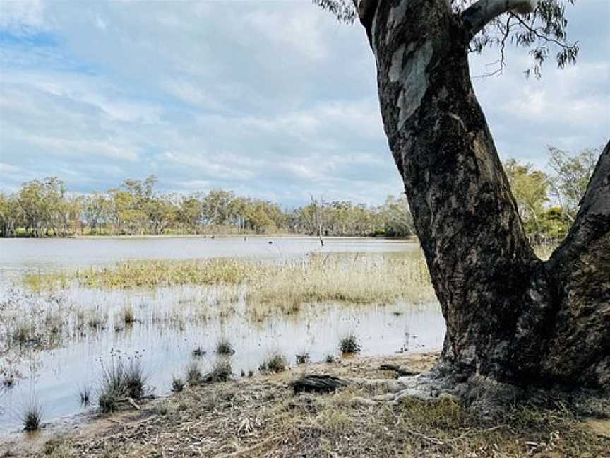 LAANECOORIE ANKERS CAUSEWAY PICNIC AREA, Laanecoorie, VIC