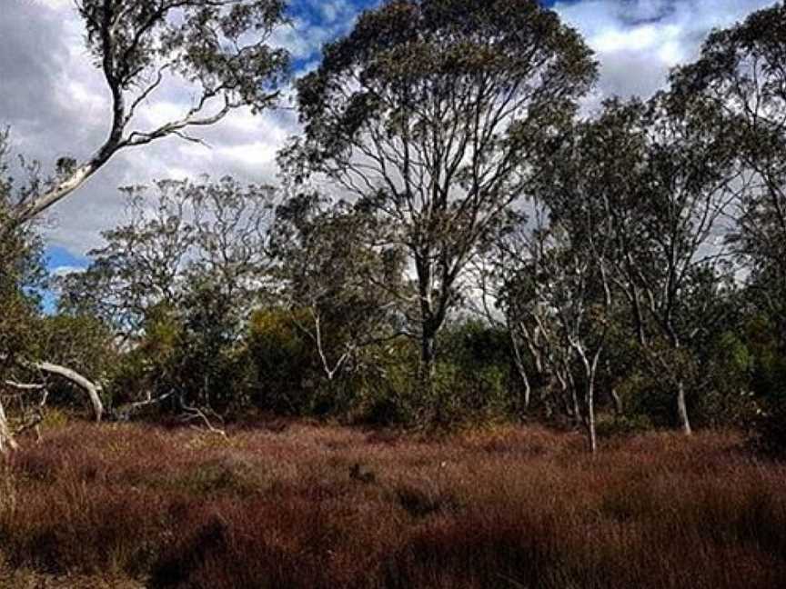 Lake Coleman State Game Reserve, Golden Beach, VIC