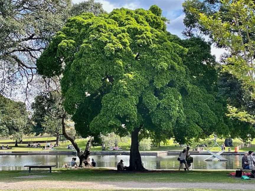 Lake Kippax, Moore Park, NSW