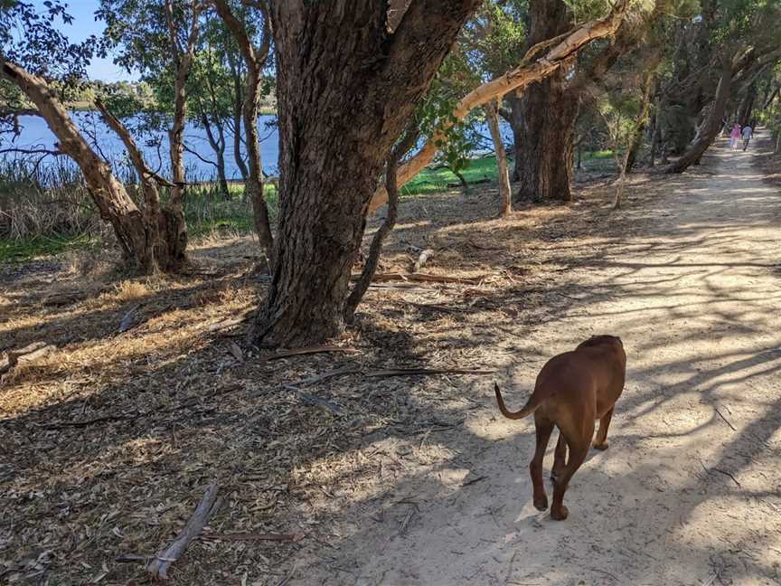 Lake Gwelup Reserve, Gwelup, WA