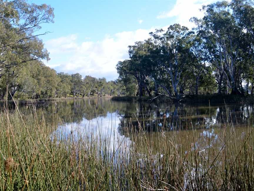 Lake Moodemere, Rutherglen, VIC