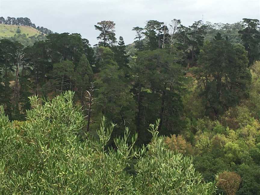 Leg Of Mutton Lake, Mount Gambier, SA