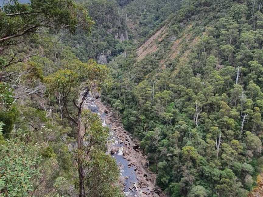 Leven Canyon Lookout, Nietta, TAS