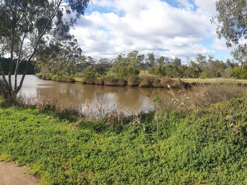 Lily Reserve, Essendon, VIC