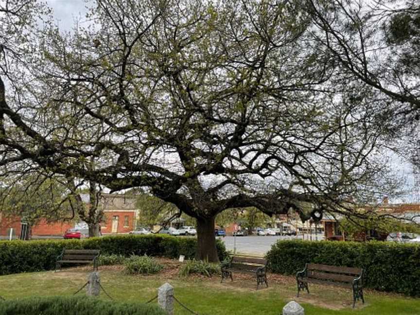 Maldon Shire Gardens, Maldon, VIC