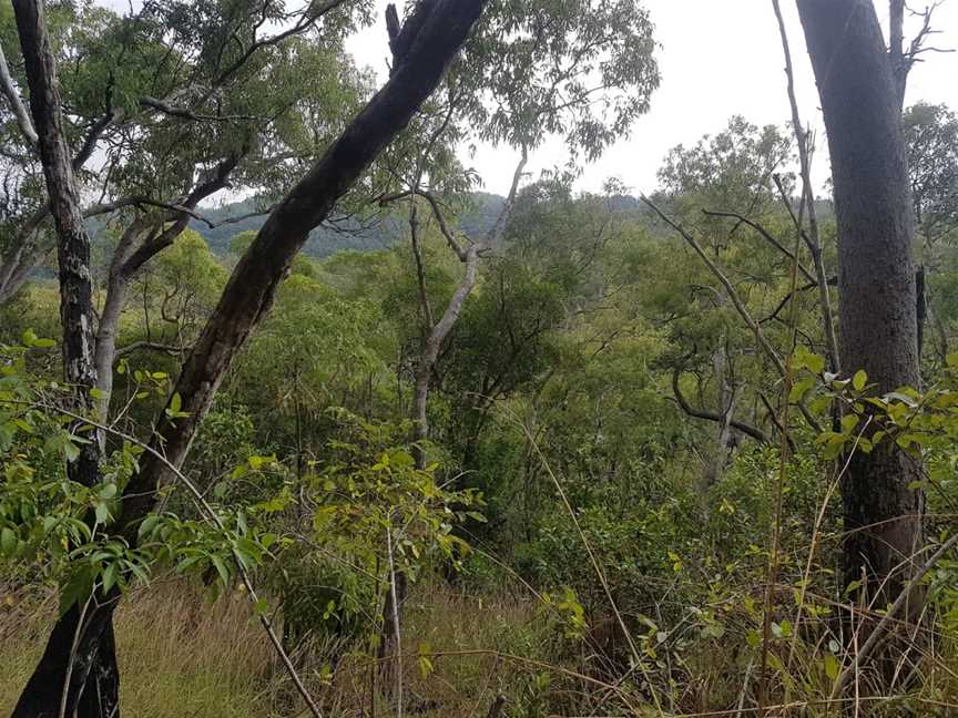 Macalister Range National Park, Ellis Beach, QLD