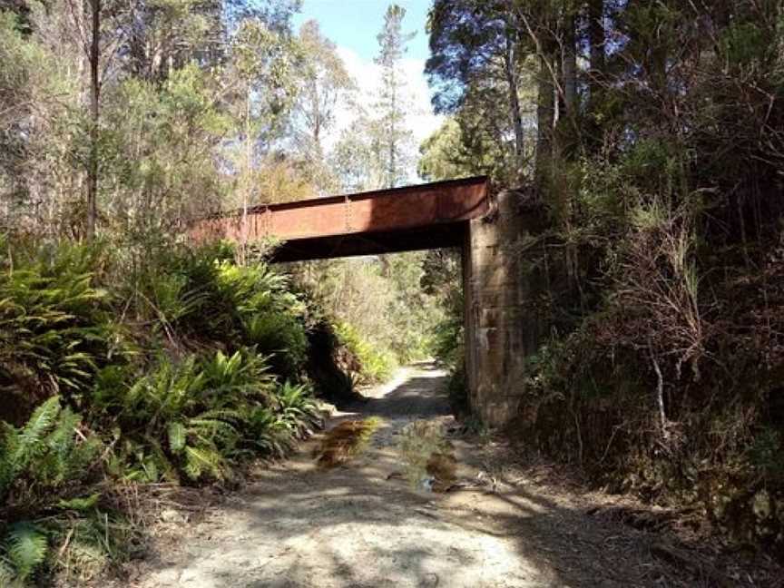 Melba Flats To Zeehan Rail Trail, Zeehan, TAS