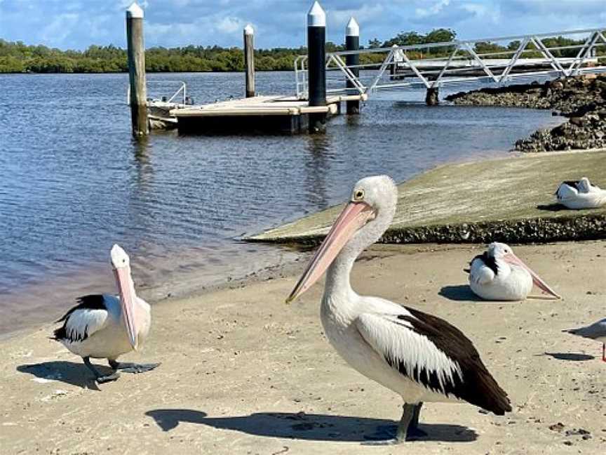 Moira Parade Reserve ( Pelican Park ), Hawks Nest, NSW