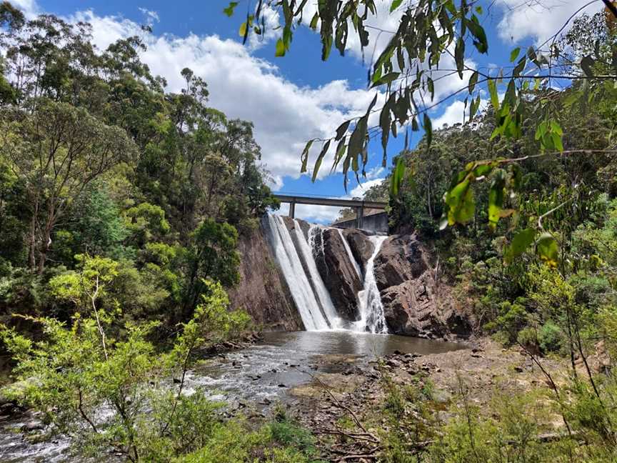 Moondarra Reservoir, Erica, VIC