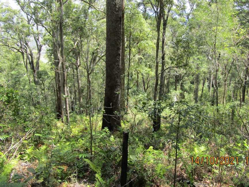 Mount Perry Summit Walk, Mount Perry, QLD