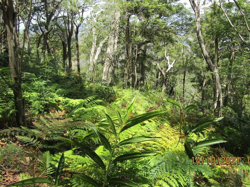 Mount Perry Summit Walk, Mount Perry, QLD