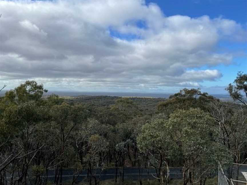 One Tree Hill Lookout, Bendigo, VIC