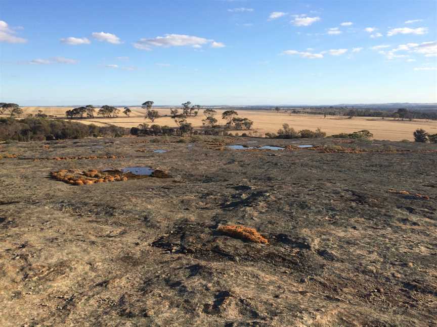 Puntapin Rock, Wagin, WA