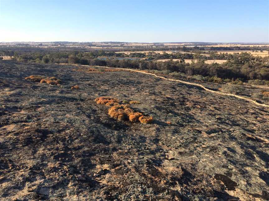 Puntapin Rock, Wagin, WA