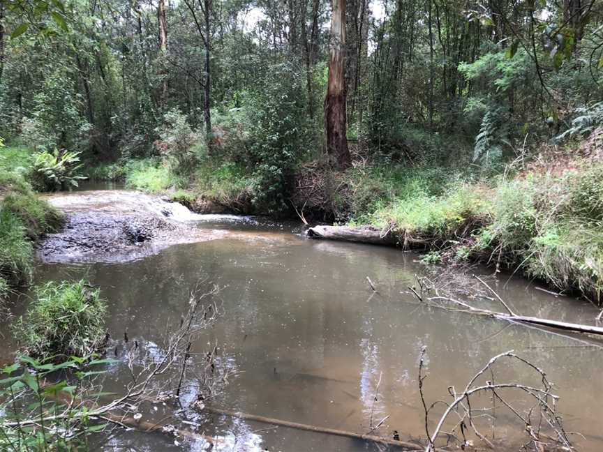 Quinn Reserve, Mount Evelyn, VIC