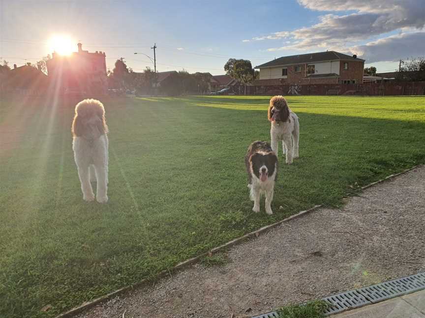 Reaburn Reserve, Brunswick, VIC