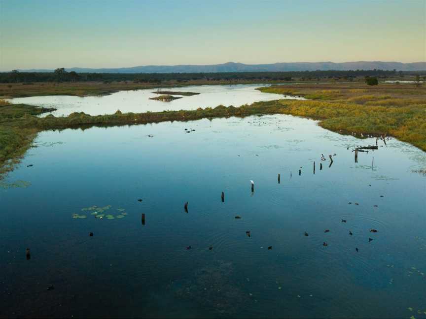 St Lawrence Wetlands, St Lawrence, QLD