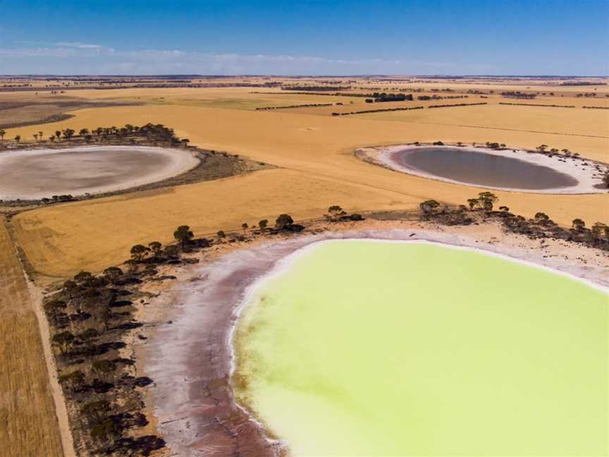 Statues Lake, Kondinin, WA