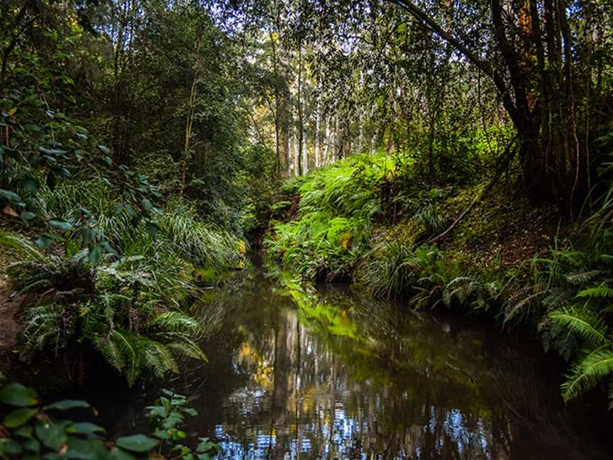 Sun Valley Fire Trail, Valley Heights, NSW