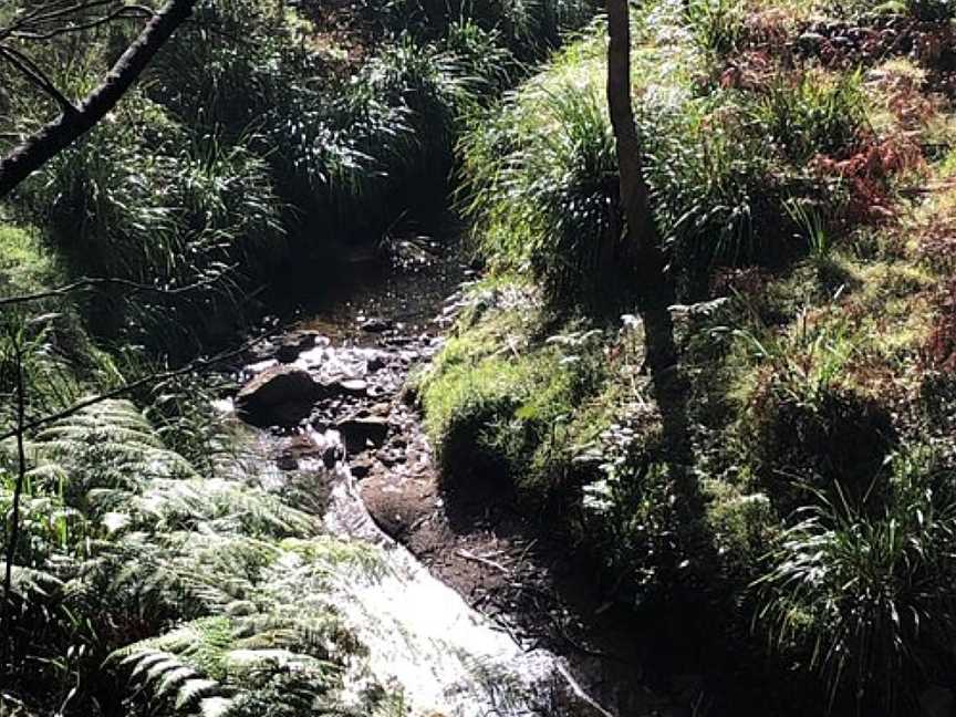 Sun Valley Fire Trail, Valley Heights, NSW