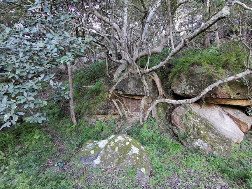 Swallow Rock Reserve, Grays Point, NSW