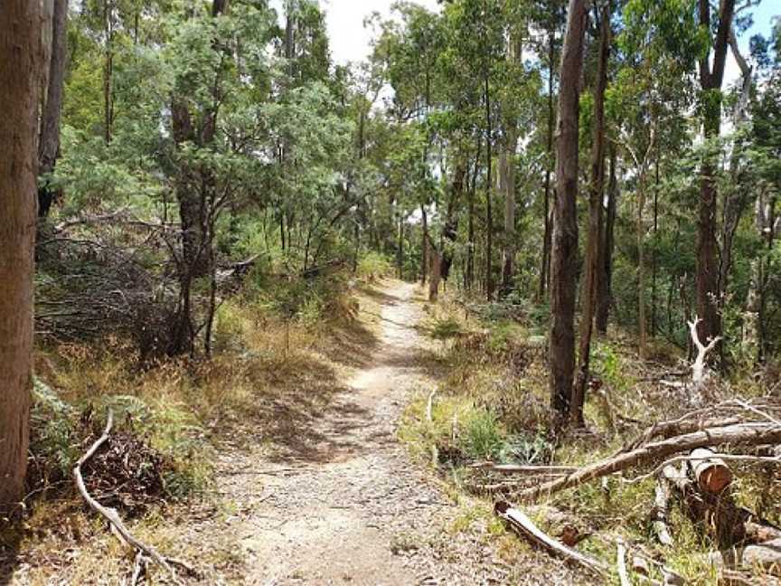 Tipperary Springs, Daylesford, VIC