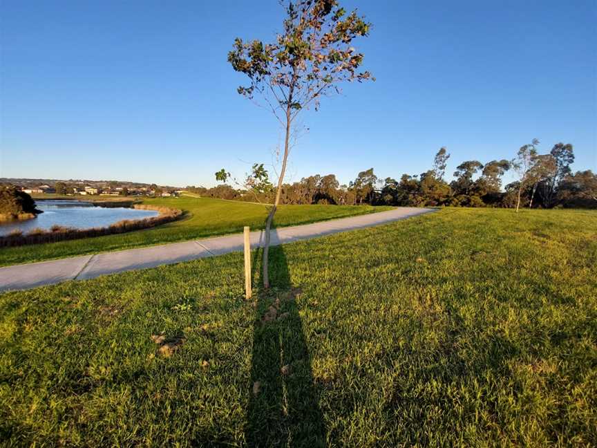 Troups Creek Retarding Basin, Narre Warren, VIC