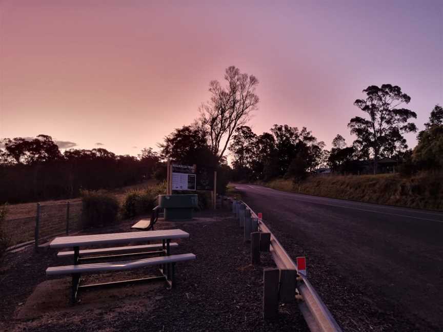 Tyers Lookout, Tyers, VIC