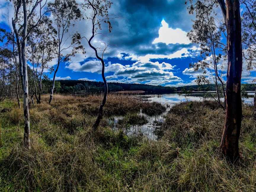 Warren Reservoir, Williamstown, SA